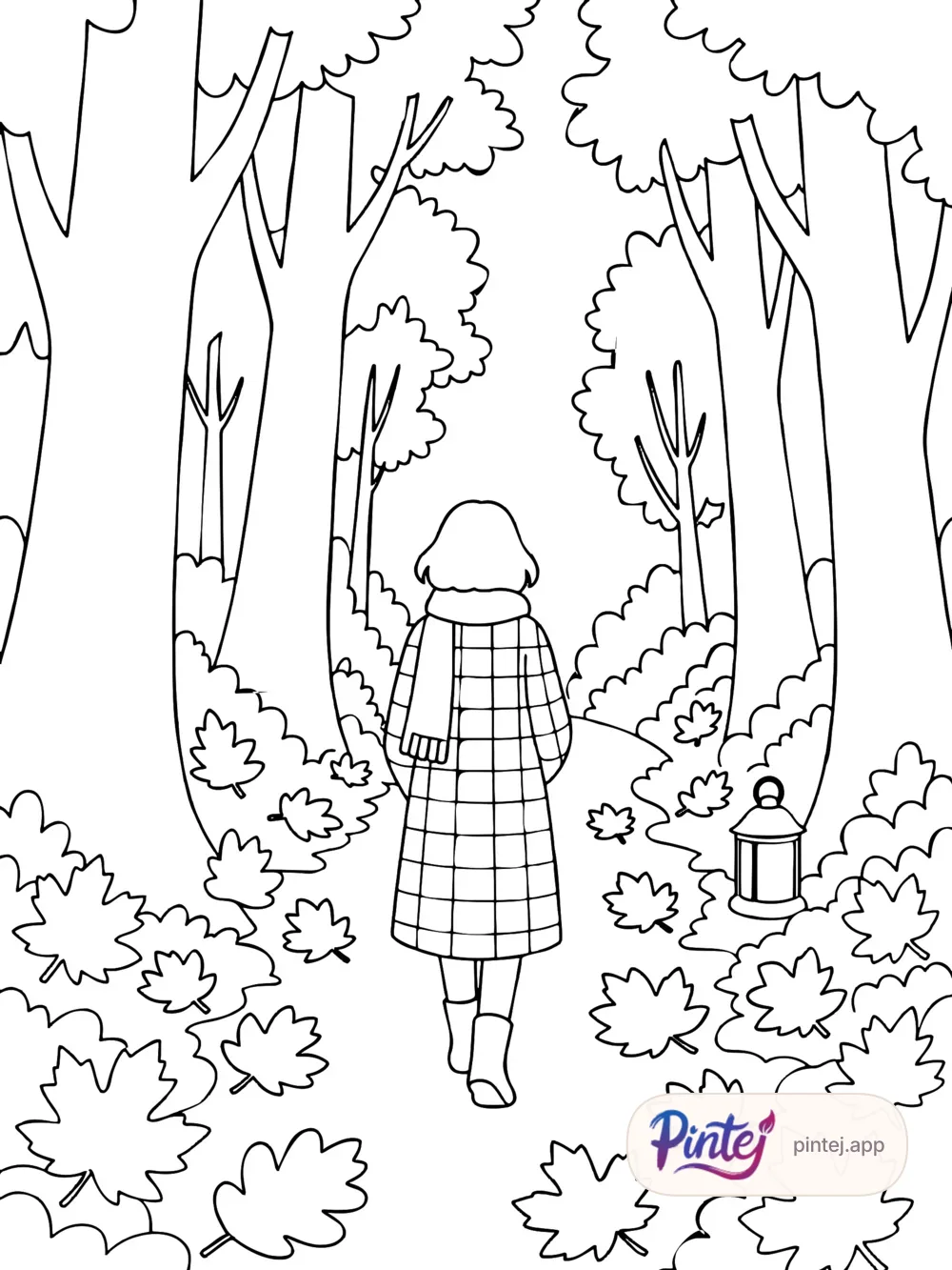 Forest path — Line art