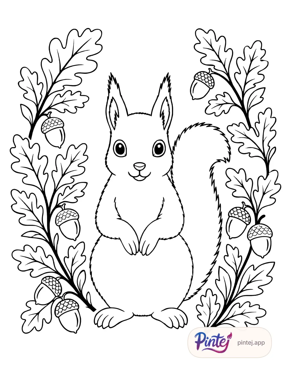 Squirrel — Line art