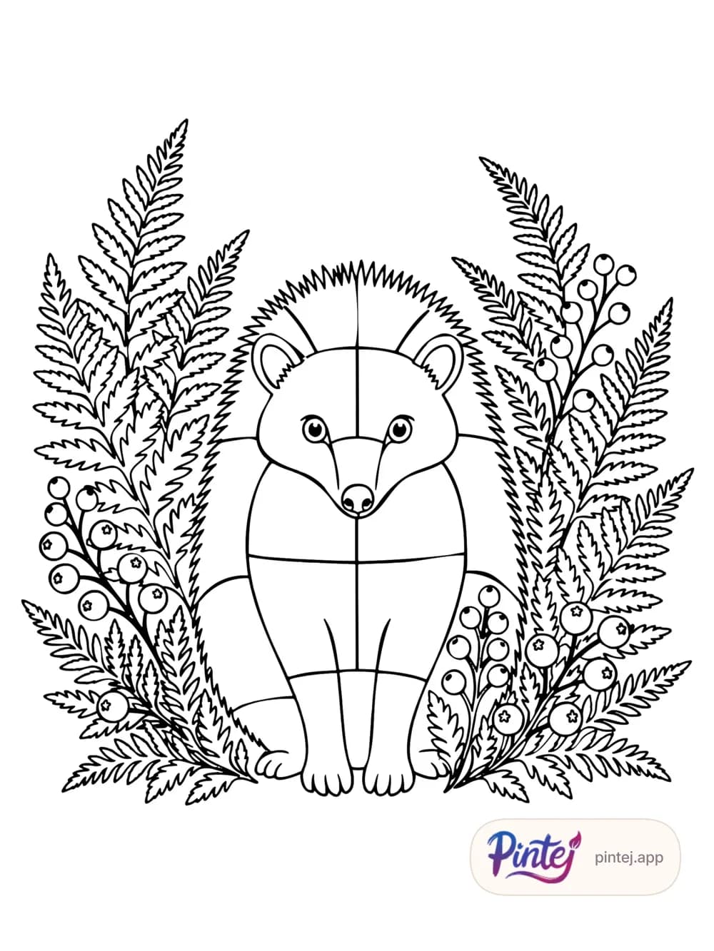 Hedgehog — Line art