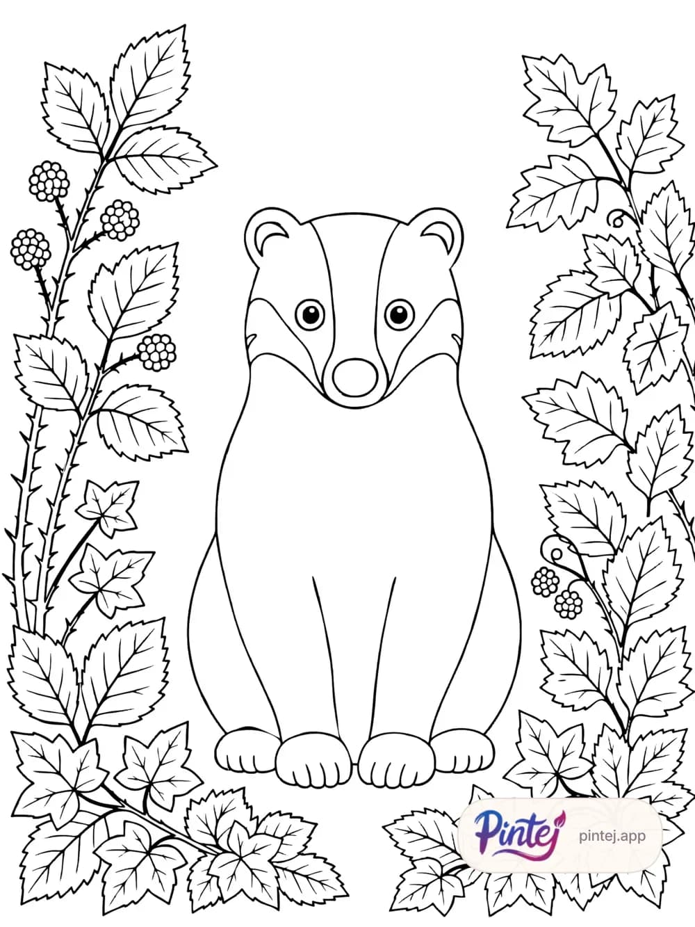 Badger — Line art