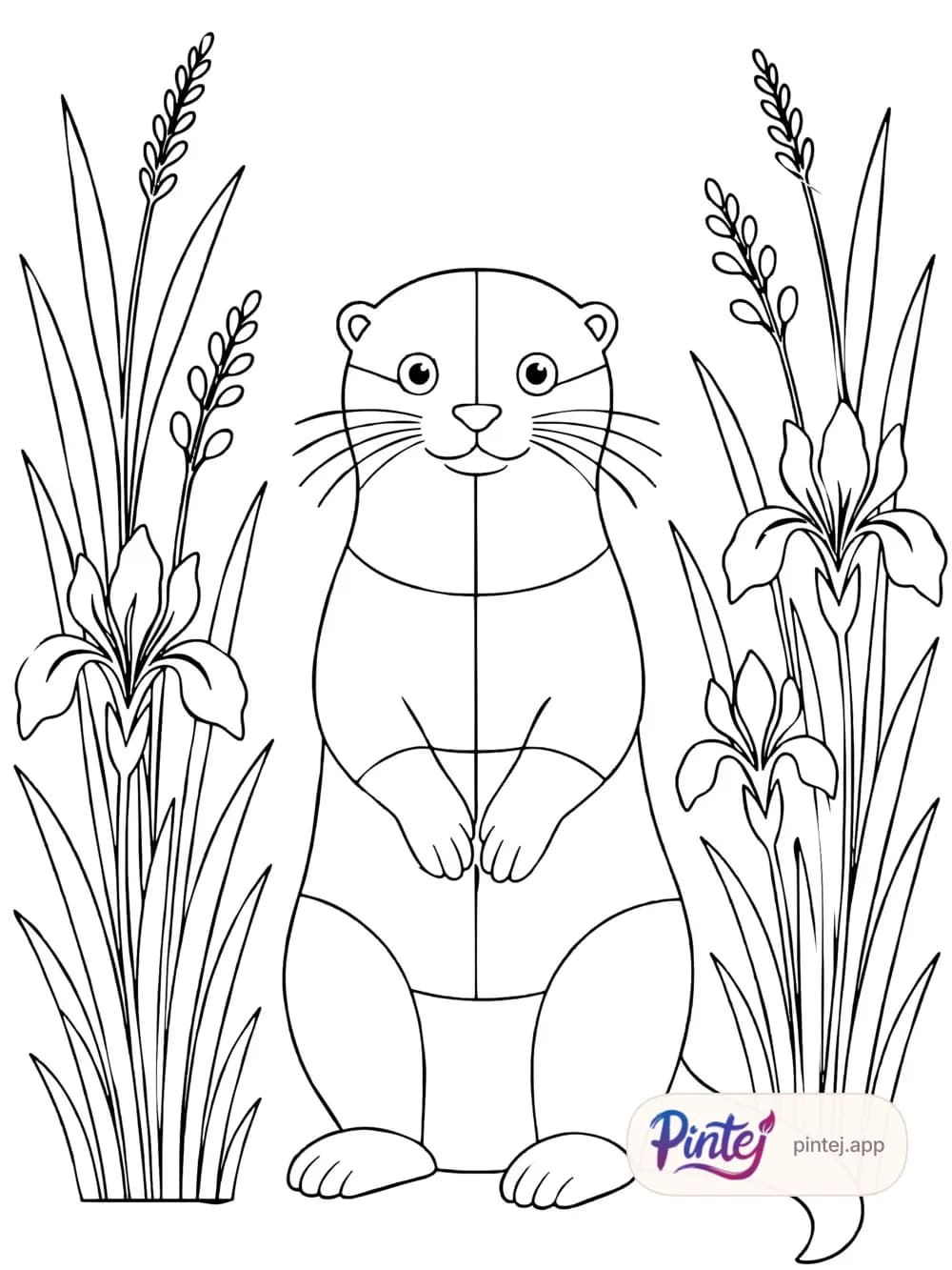 Otter — Line art