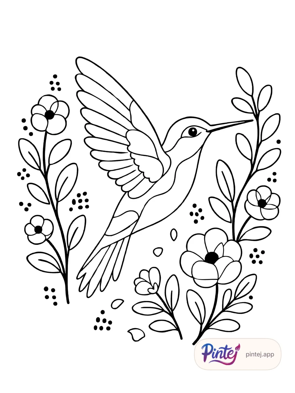 Hummingbird — Line art
