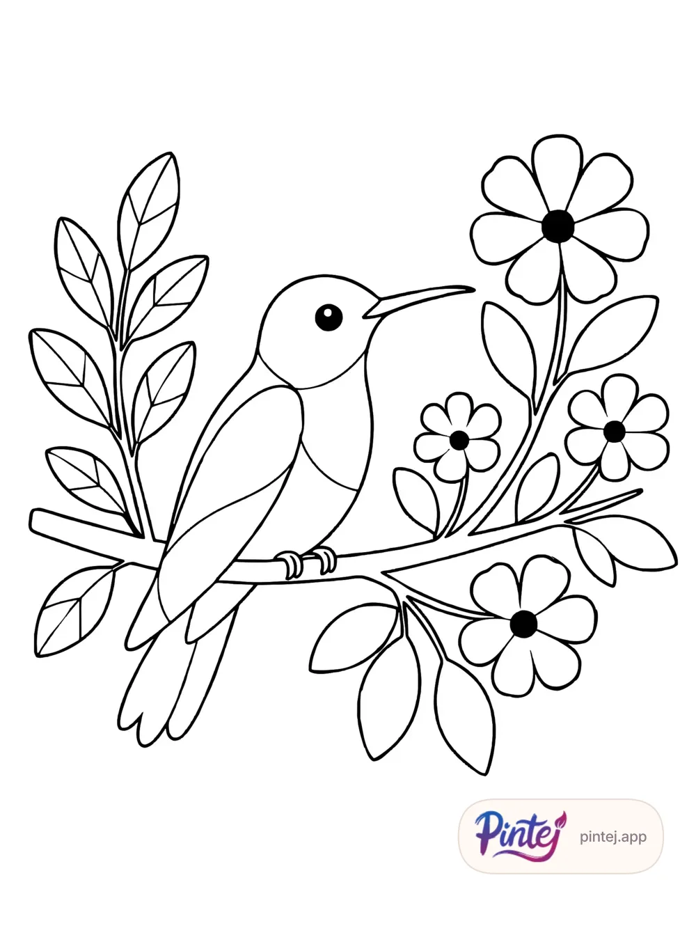 On a branch — Line art