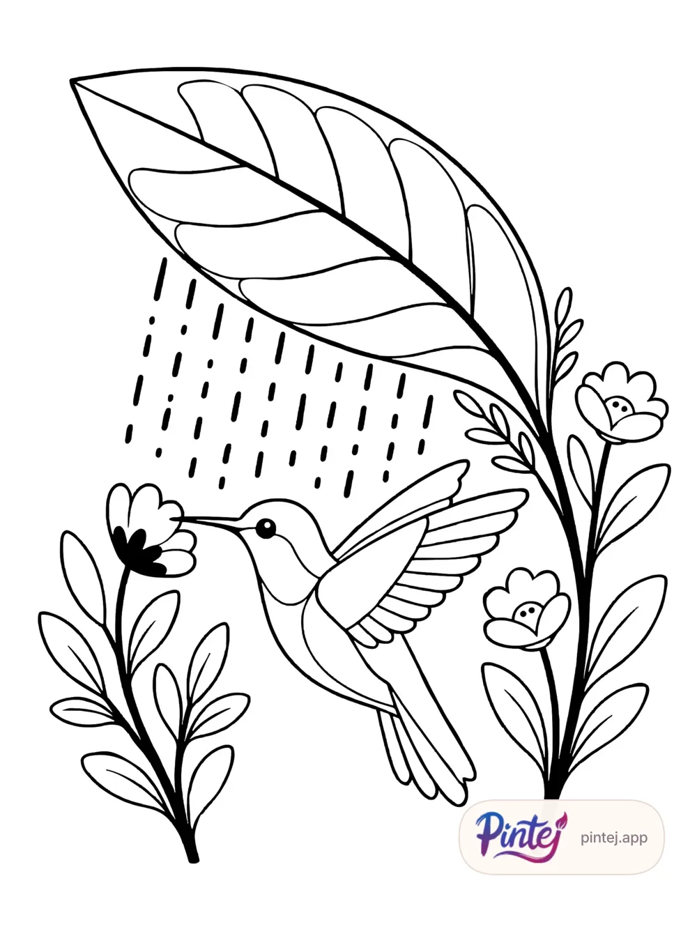 Soft rain — Line art