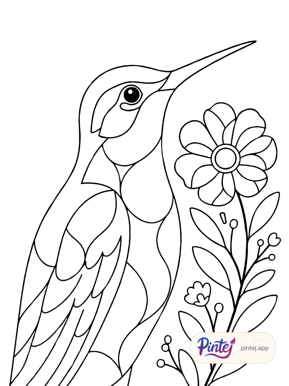 Close-up — Line art