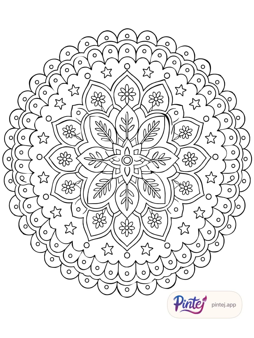 Star and flowers — Line art
