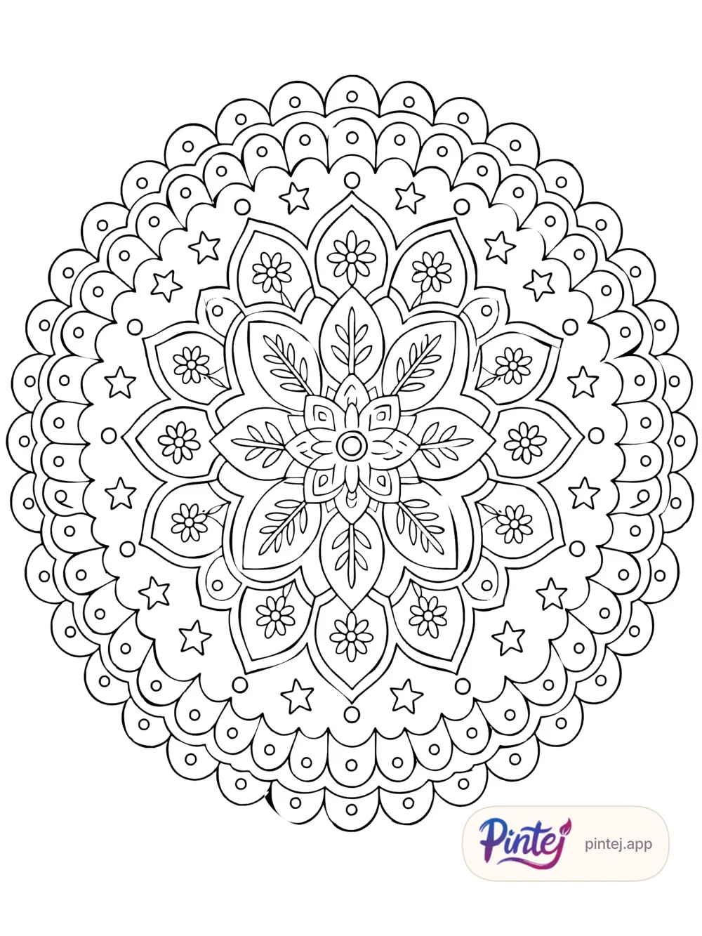 Floral rosette — Line art