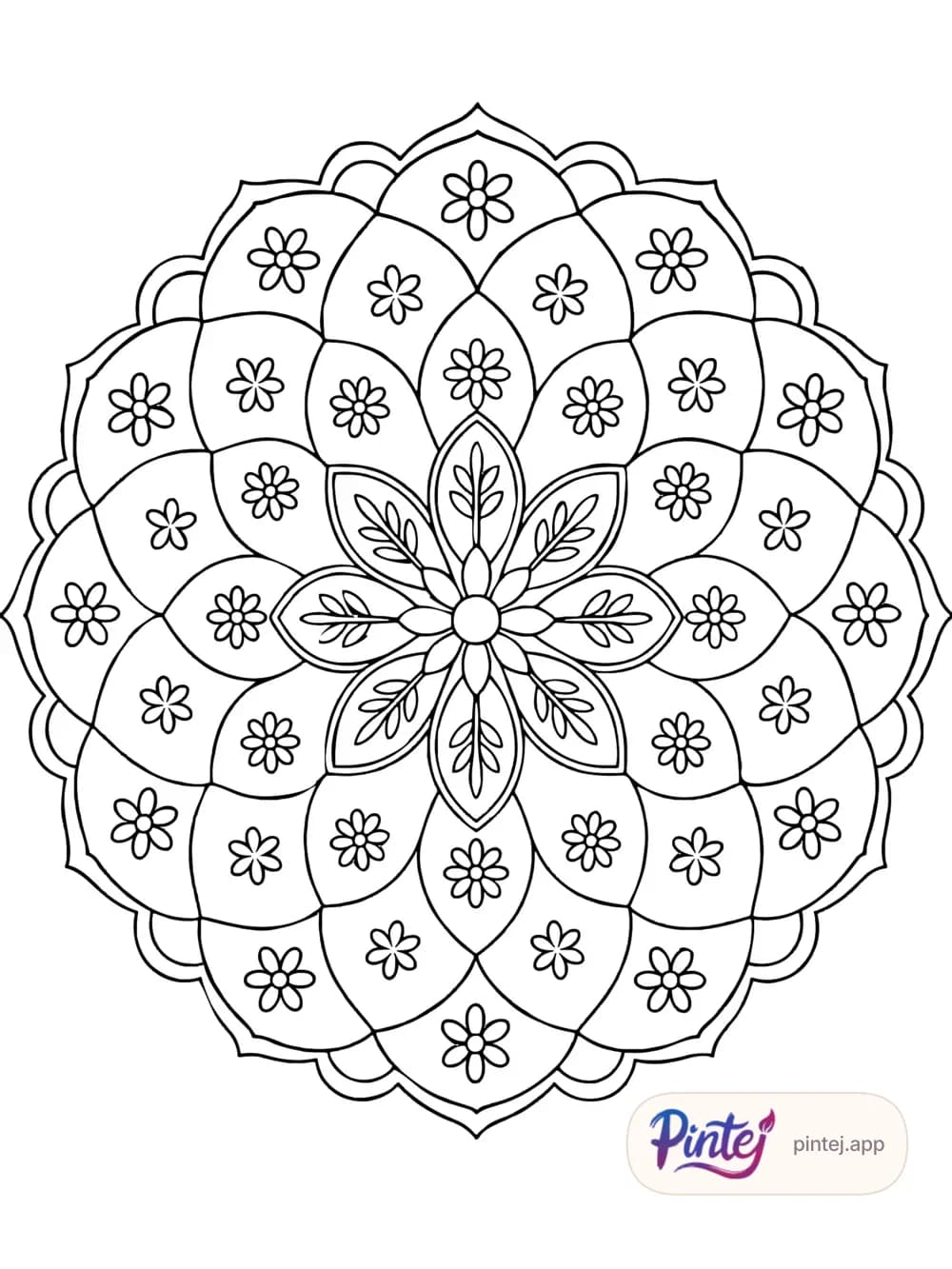 Flower of life — Line art