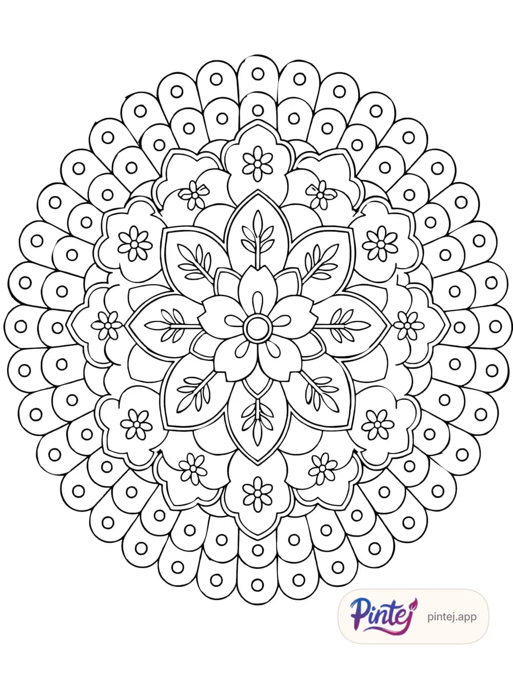Cherry blossoms — Line art