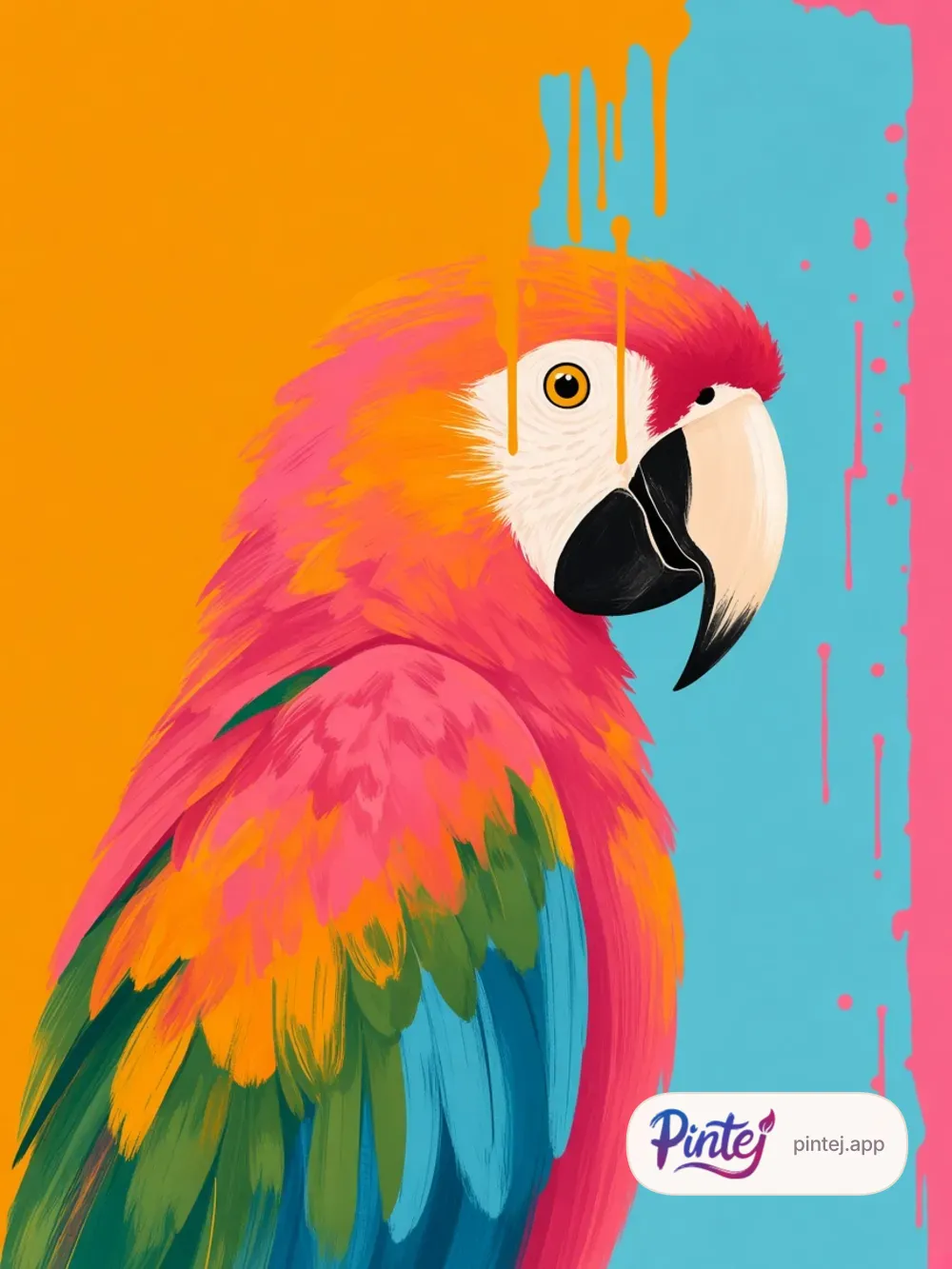 Macaw