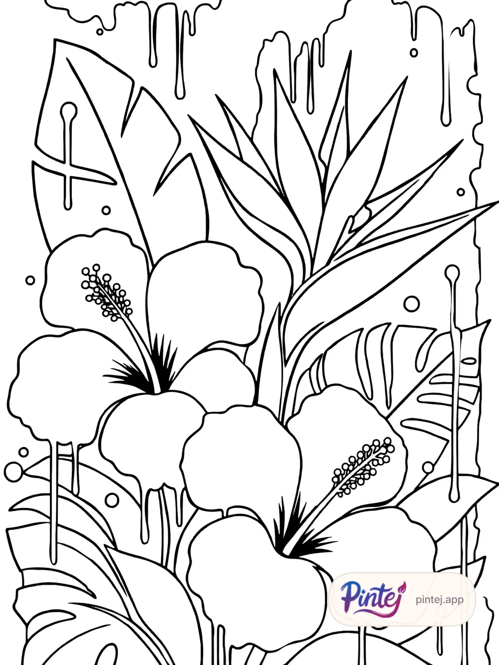 Hibiscus & bird of paradise — Line art